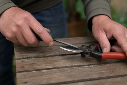 Le rôle essentiel de l’affûteuse dans l’entretien des outils de jardin