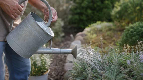 Adapter l’entretien du jardin face aux épisodes de canicule : gestes essentiels