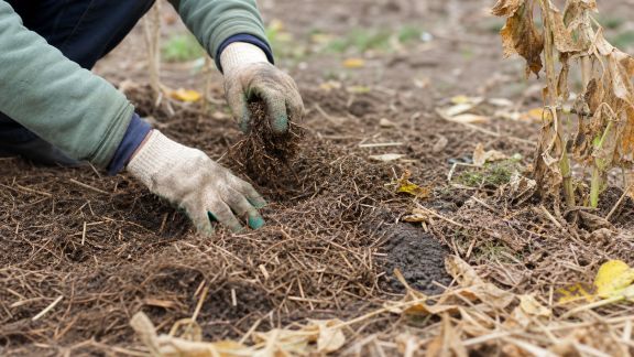 Hiverner son potager : gestes essentiels pour protéger le sol et préparer la saison suivante