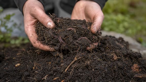 Créer un sol vivant : techniques naturelles pour attirer la biodiversité souterraine