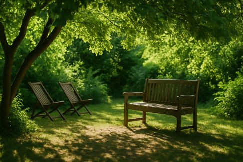Créer une zone ombragée naturelle pour profiter de l’été au jardin