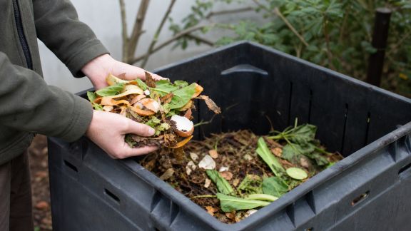 Comment adapter son compost au climat et à la région