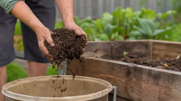 Comment bien récolter et stocker son compost pour le potager