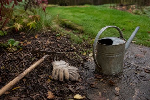 Préparer son jardin à l’arrivée des premières pluies automnales : actions utiles