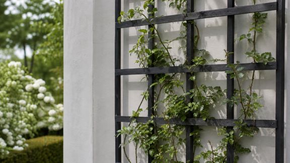 Installer des treillages décoratifs pour habiller vos murs extérieurs