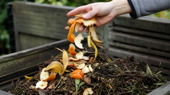 Recycler les restes de fruits au jardin : bonnes pratiques pour le compost