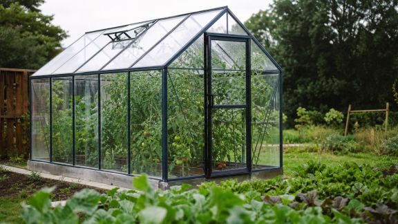 Installer une serre de jardin : quels bénéfices pour le potager ?