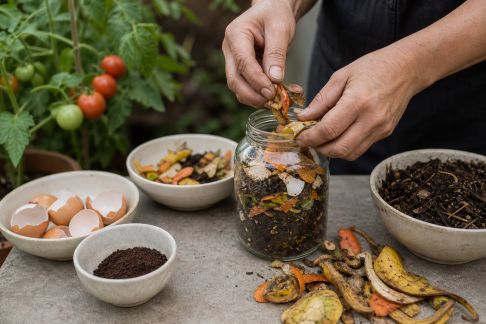 Fabriquer des engrais maison pour booster la croissance des légumes du potager