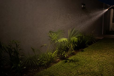 Arrosage nocturne : avantages, inconvénients et conseils pratiques