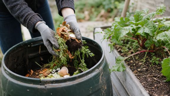 Potager zéro déchet : recycler malin au jardin pour fertiliser naturellement