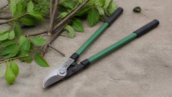 Comment sélectionner un coupe-branches adapté à son jardin