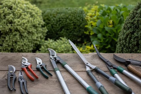 Outils de taille : que choisir selon les types d’arbustes et de haies