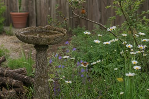 Aménager un espace de jardin pour accueillir la faune sauvage locale