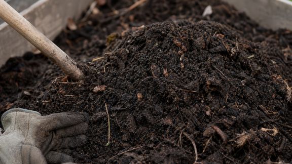 Reconnaître un compost mûr : signes et astuces pour l’utiliser au bon moment