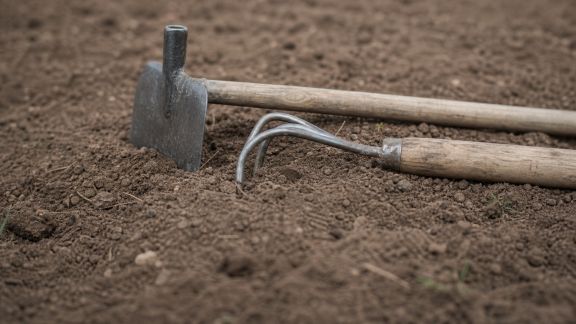 Comment bien choisir une houe ou un sarcloir pour désherber efficacement