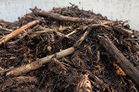Le compostage des déchets de taille : astuces pour accélérer la décomposition des branches