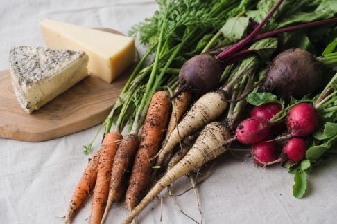 Réussir la culture de légumes racines : fromages, astuces et calendrier des semis