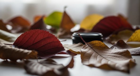 Gestion durable des feuilles mortes issues des haies et arbres du jardin